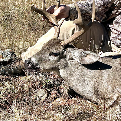 Coues Deer-Mexico
